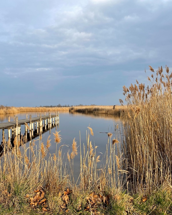 SEEPARK OGGAU FEREIENWOHNUNG NEUDSIEDLERSEE